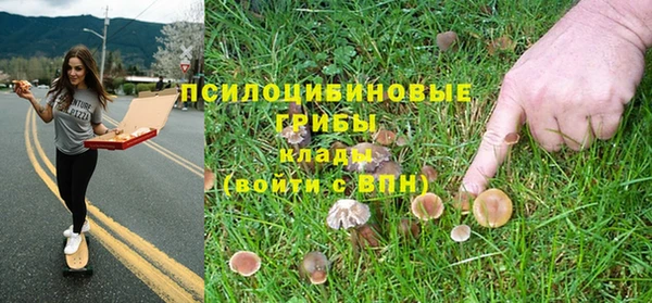 дурь Зерноград