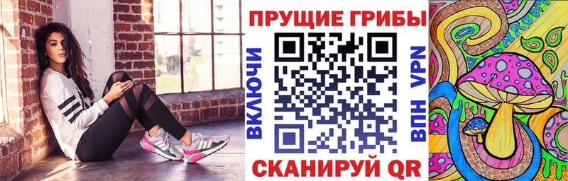 Купить где  Электрогорск  Галлюциногенные грибы мухоморы 